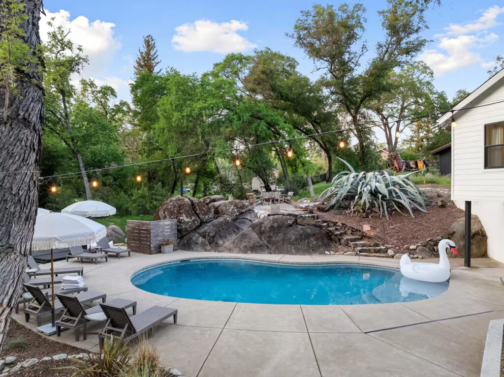 49852eeb-5ef0-44d3-97b2-1278119e9cee