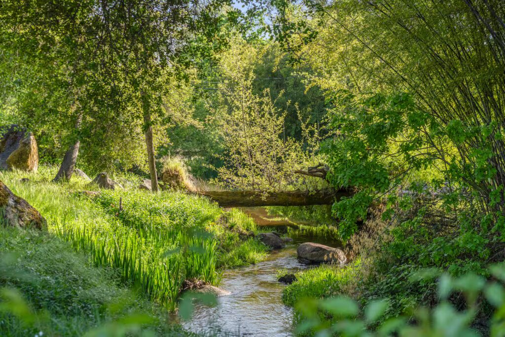 8f6d1c06-095f-463a-825e-13de6451a025