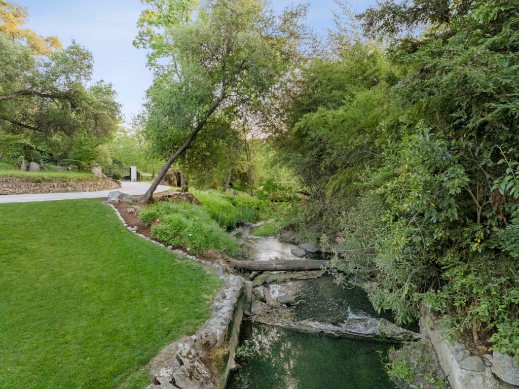 cccd36b6-12c1-4987-972c-61e784375050