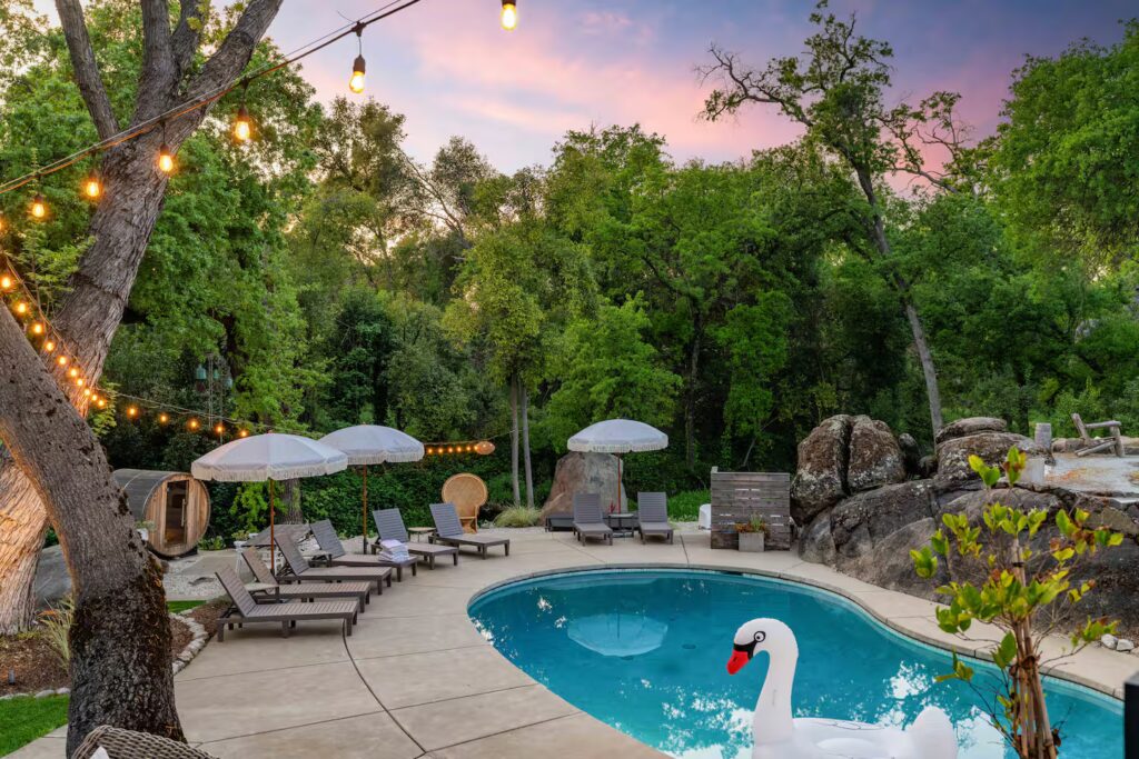 d295897e-9eb8-4bce-aead-1d90f259752a