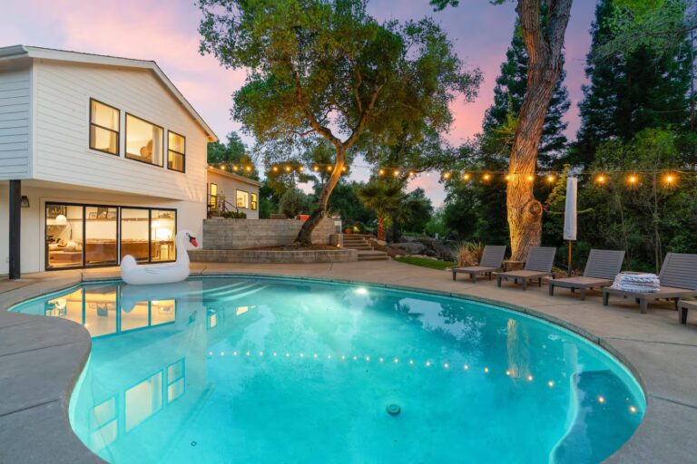 d9ea1716-73b9-454c-b208-04ed8c1d937e